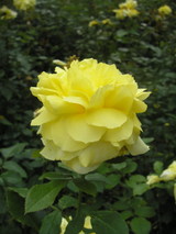 P8020576