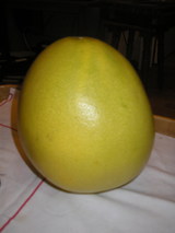 P1112118
