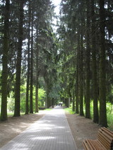 P5281200