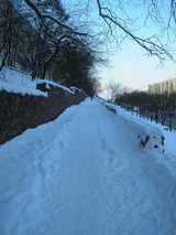 P2182081