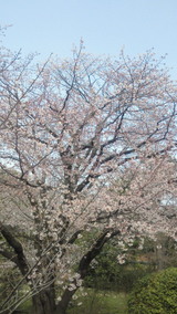 57642c1a.jpg