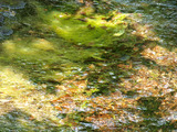 07_P6305484_rs