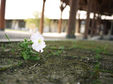 P1060400