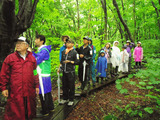03_IMGP0113_rs