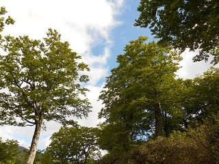 20170805DSCN2772