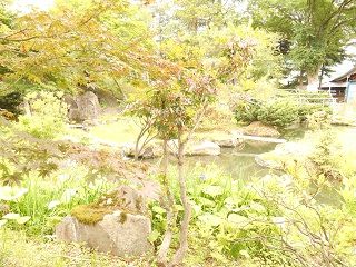 20171004DSCN2733