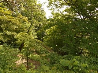 20171018DSCN2715