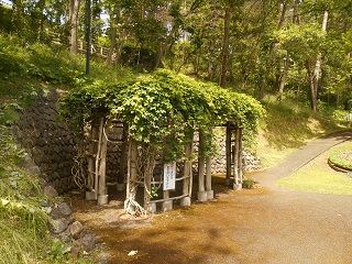 20180903DSCN3540
