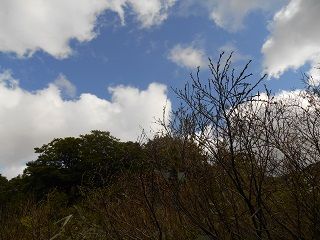 20170813DSCN2764