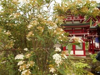 20171012DSCN2724