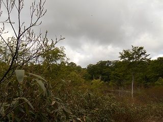 20170815DSCN2763