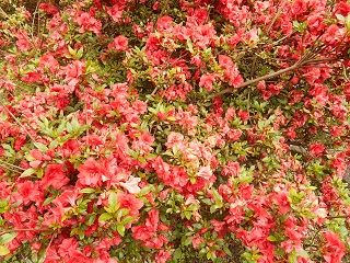 20170930DSCN2735