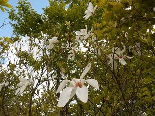 20170821DSCN2759