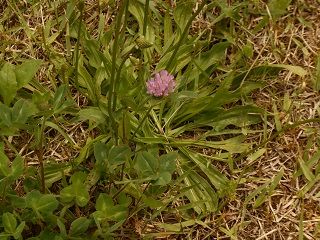 20180712DSCN3563
