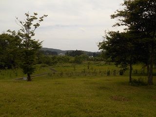20180715DSCN3562
