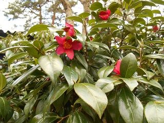 20170621DSCN2524
