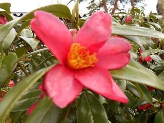 20170623DSCN2523