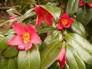 20170625DSCN2522