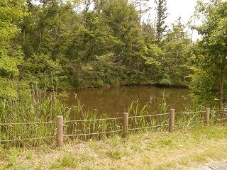 20180709DSCN3564