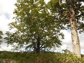 20170807DSCN2771
