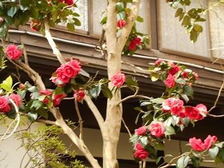 20170716DSCN2507