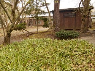20170627DSCN2521