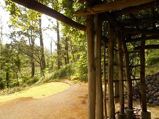 20180906DSCN3539
