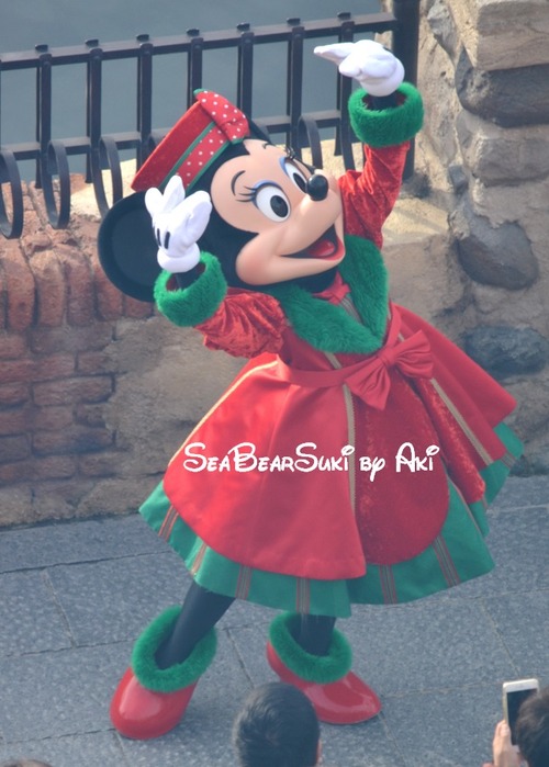 2016クリスマス6 880