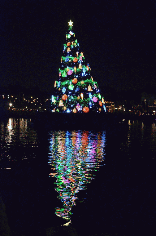 2013クリスマス2 014-TWINKLE