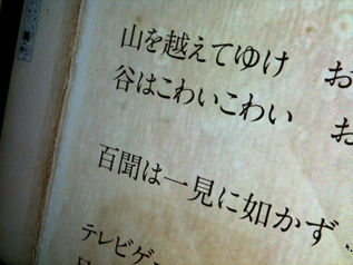 写真-282