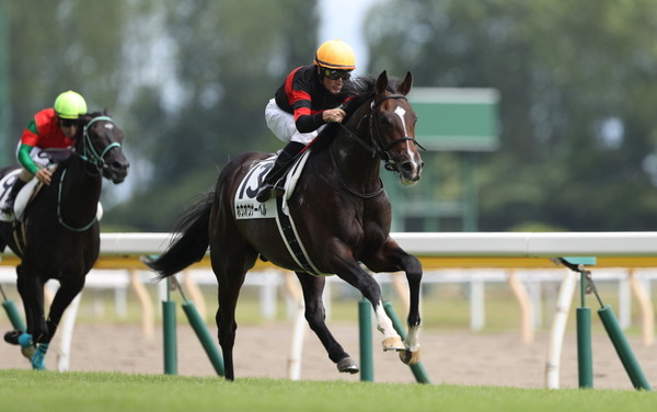 ホウオウサーベル 2歳新馬