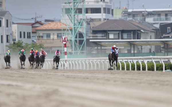 ホウショウレイル 2歳新馬