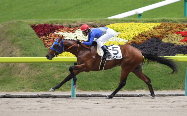 ホールドユアハンド 2歳新馬