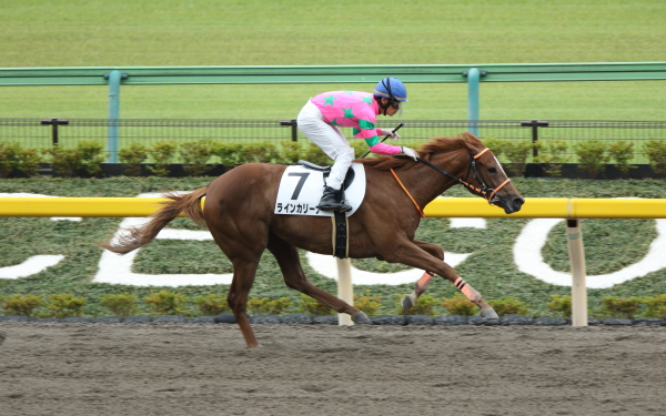ラインカリーナ 2歳新馬