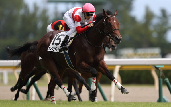 ダノンジャスティス 2歳新馬