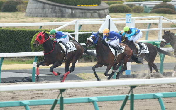 アドマイヤヒビキ 3歳未勝利