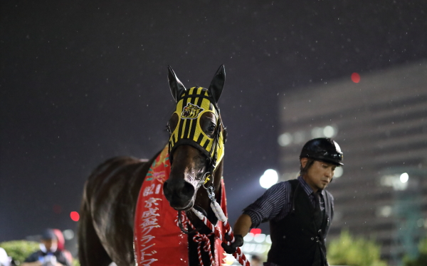 キングガンズラング 京成盃グランドマイラーズ