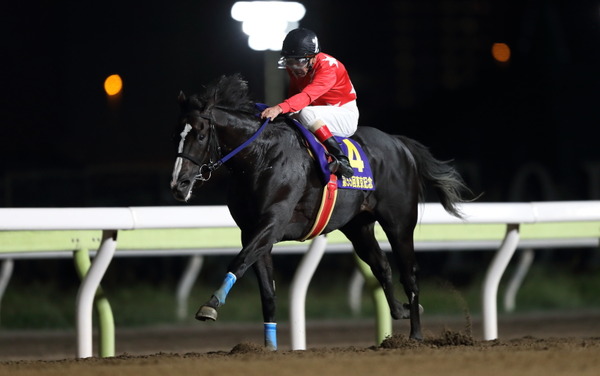 シュテルングランツ 東京記念