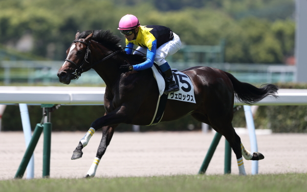 ヴェロックス 2歳新馬