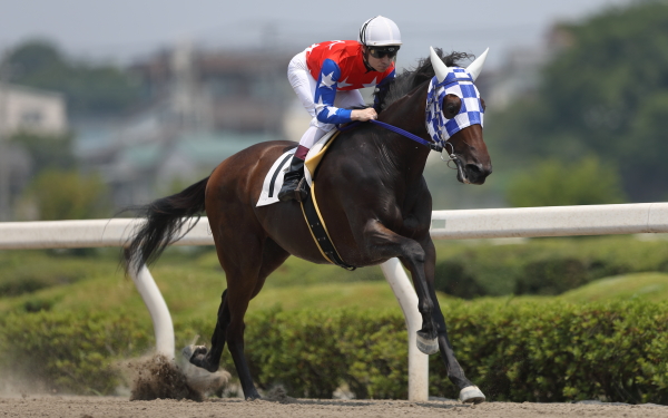 ホウショウレイル 2歳新馬