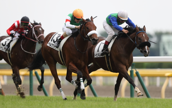 トーセンギムレット 2歳新馬