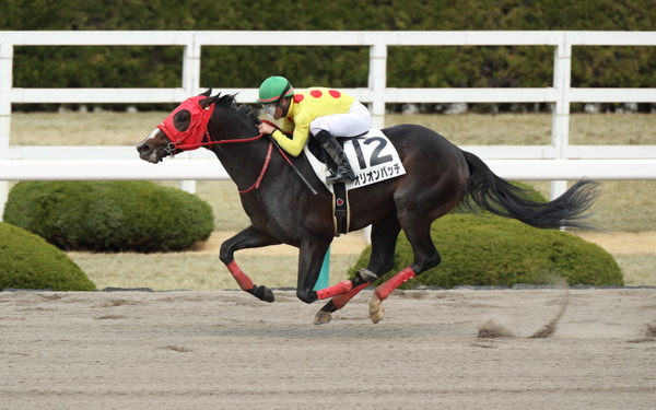 オリオンパッチ 3歳500万下