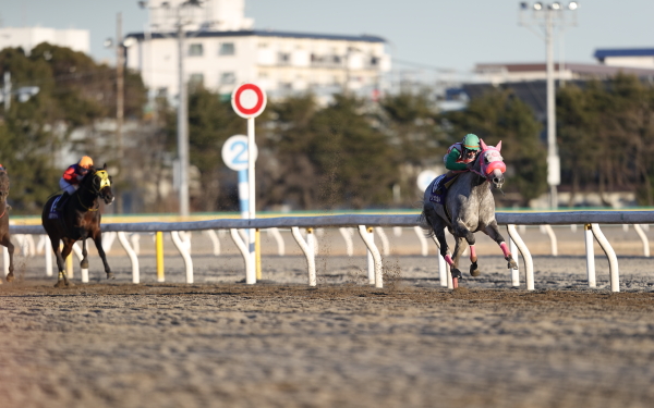 リッカルド 報知グランプリカップ
