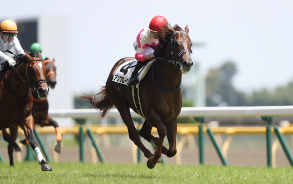 アンブロークン 2歳新馬
