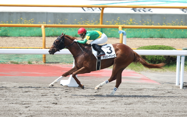 デンバーテソーロ 2歳未勝利