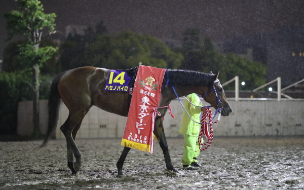 ハセノパイロ 東京ダービー 大井