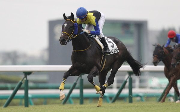 チャロネグロ 500万下