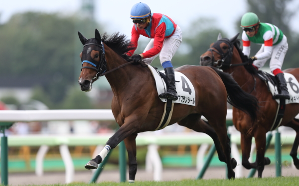 アフランシール 2歳新馬