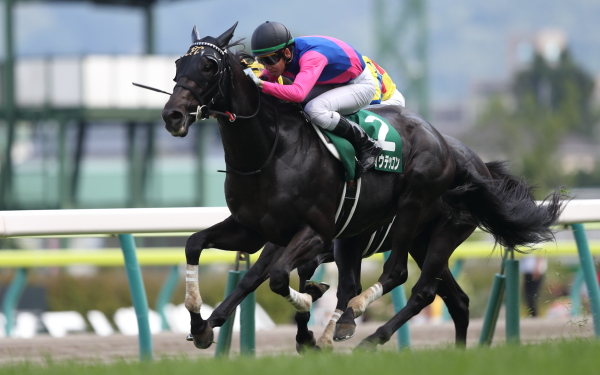 メイショウテッコン ラジオNIKKEI賞