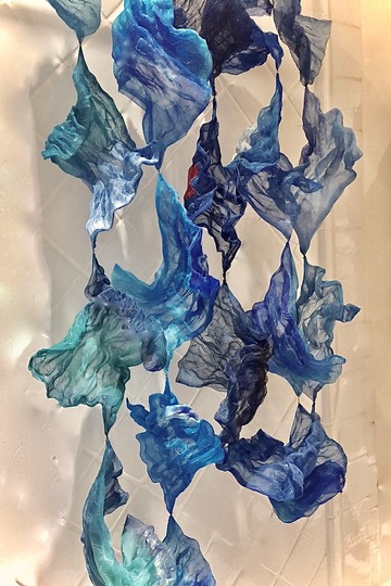 medusa - 1